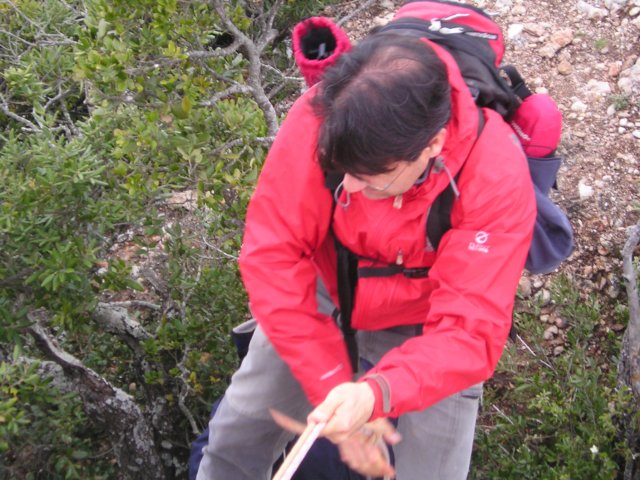 p1010036.jpg