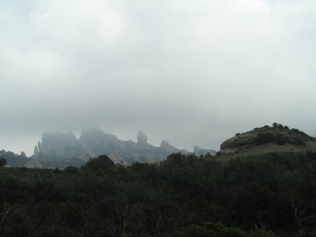 p1010058.jpg