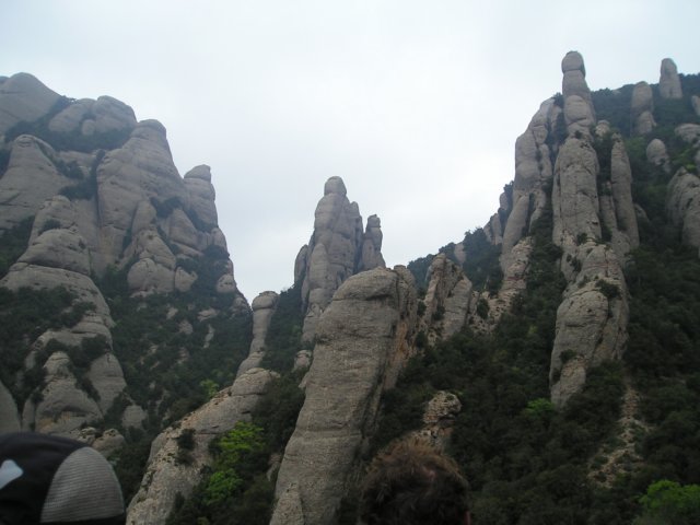 p1010060.jpg