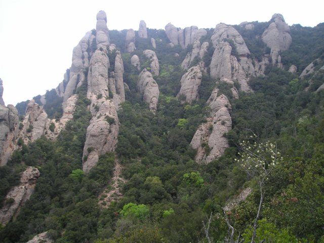 p1010063.jpg