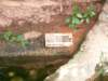 p5100750_small.jpg