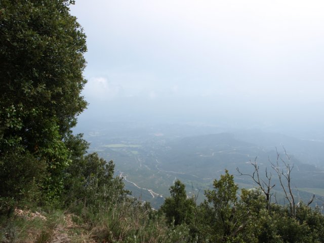 p5100751.jpg