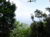 p5100753_small.jpg