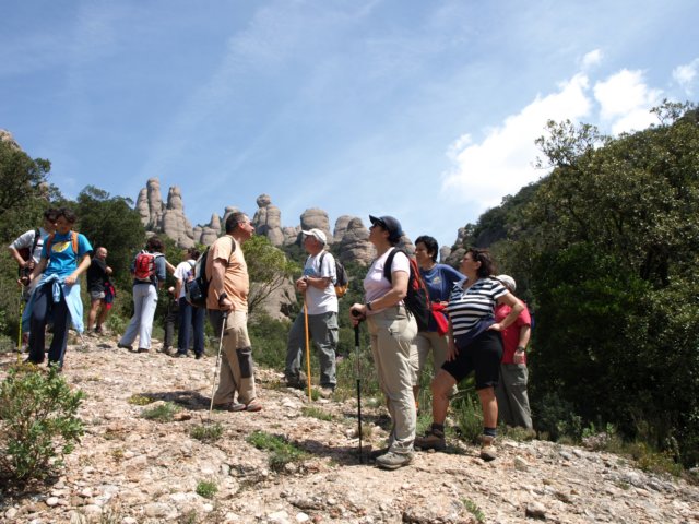 p5100766.jpg