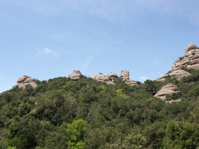 p5100769.jpg