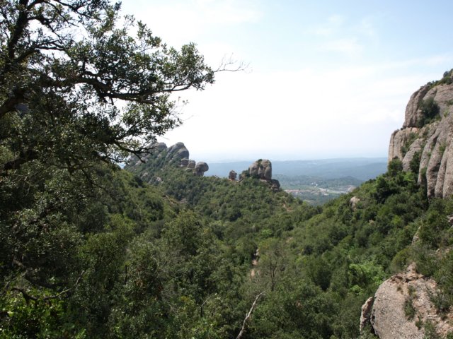 p5100770.jpg