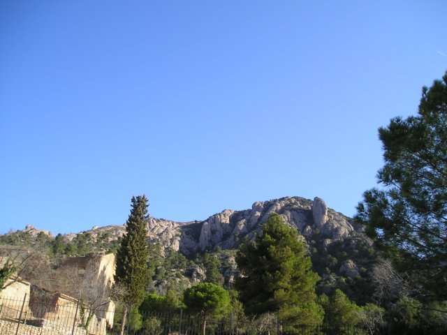 p1010045.jpg