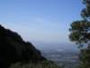 p1010048_small.jpg