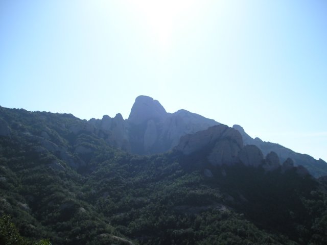 p1010051.jpg
