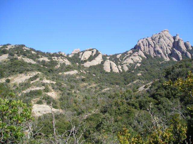 p1010056.jpg