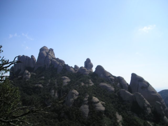 p1010060.jpg