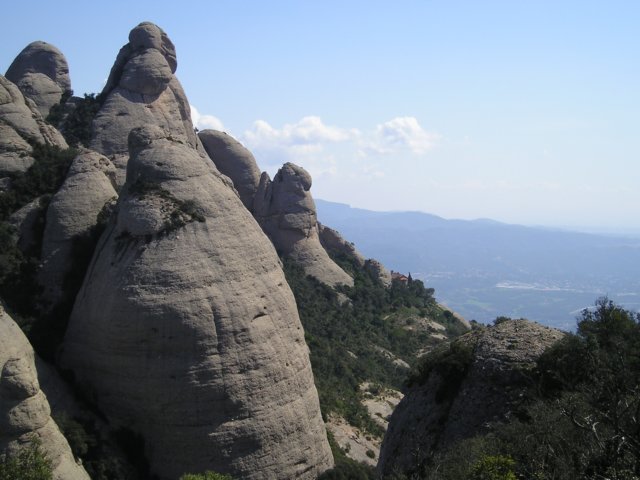p1010068.jpg