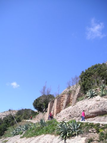 p1010076.jpg