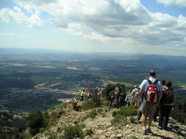 p1010083.jpg