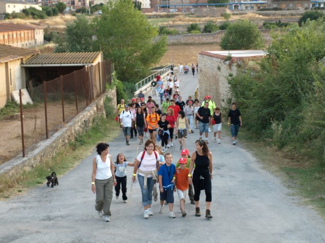 p7041122.jpg