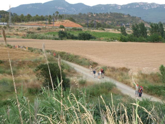 p7041132.jpg