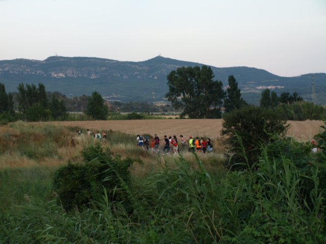 p7041134.jpg