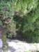 p1010254_small.jpg