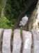 p1010255_small.jpg