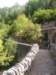 p1010257_small.jpg