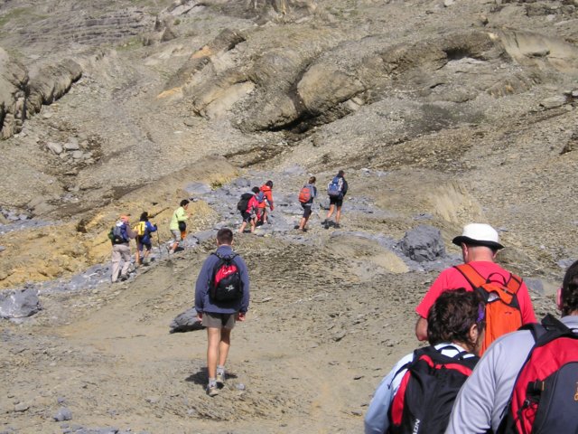 p1010297.jpg