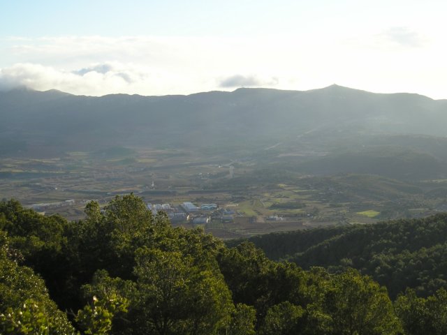 p1010002.jpg