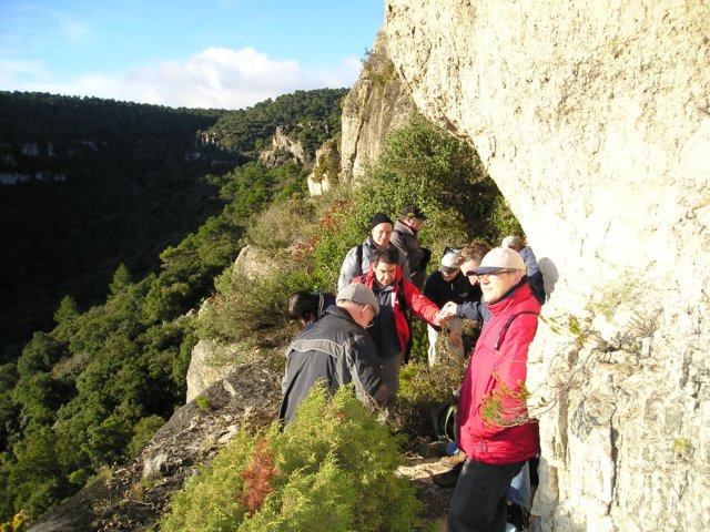 p1010007.jpg