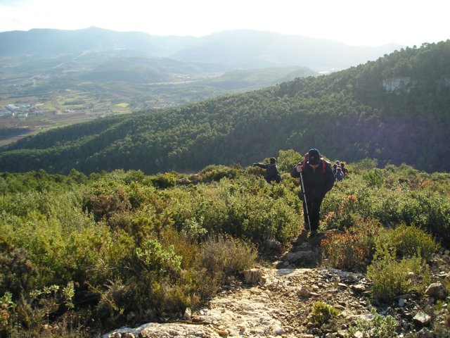 p1010008.jpg