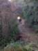 p1010015_small.jpg