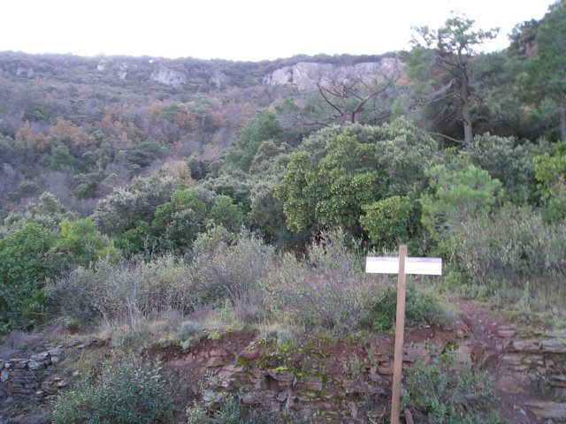 p1010017.jpg