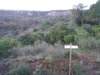 p1010017_small.jpg