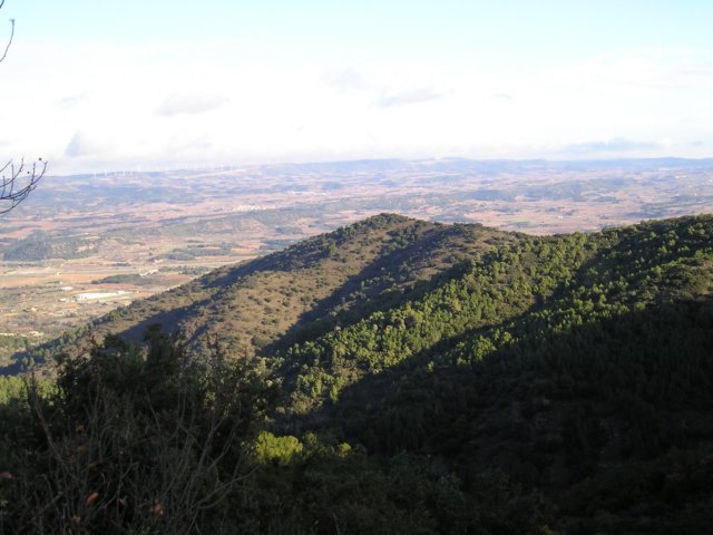 p1010021.jpg