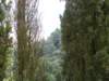 p1010024_small.jpg