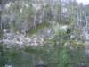 p1010094_small.jpg