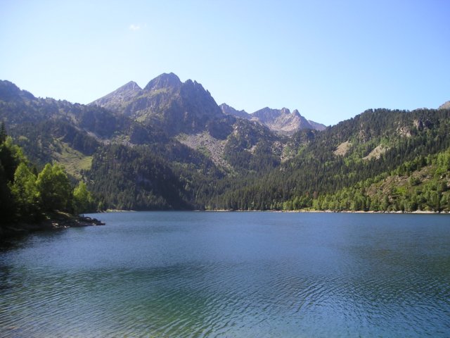 p1010124.jpg