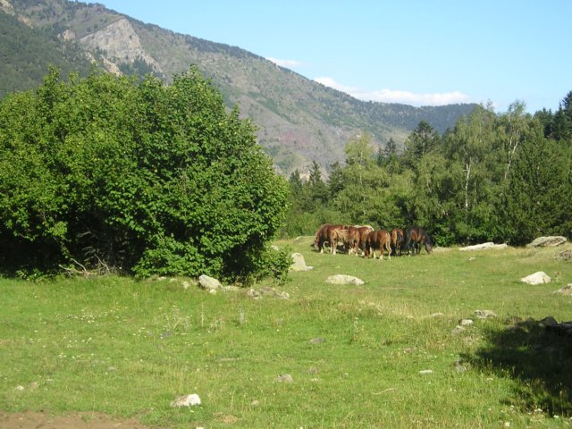 p1010131.jpg