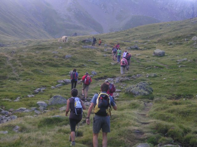 p1010038.jpg