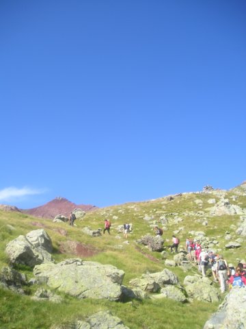 p1010059.jpg