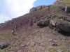 p1010076_small.jpg