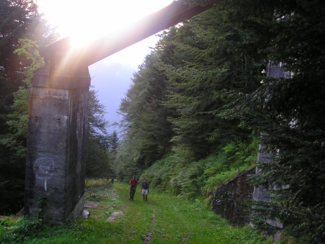 p1010016.jpg