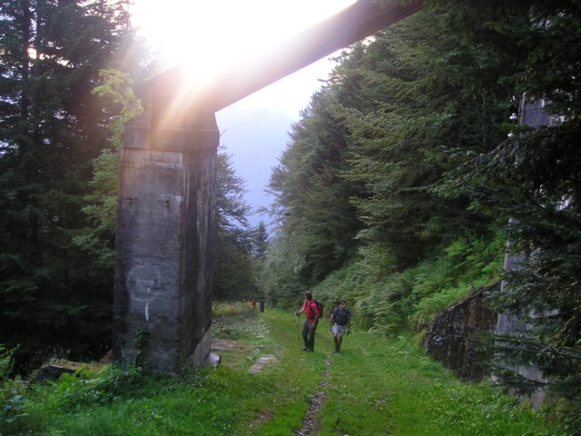 p1010017.jpg
