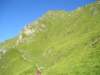 p1010046_small.jpg