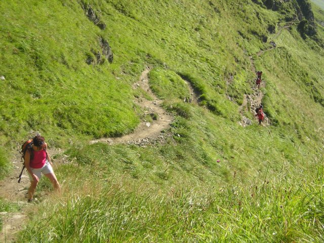 p1010049.jpg