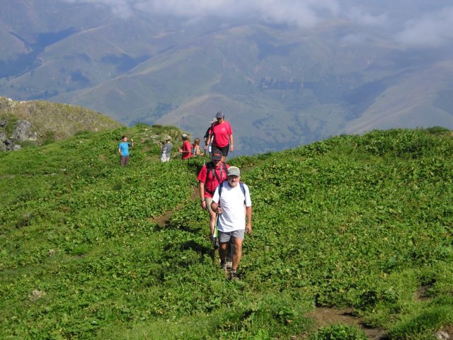 p1010061.jpg