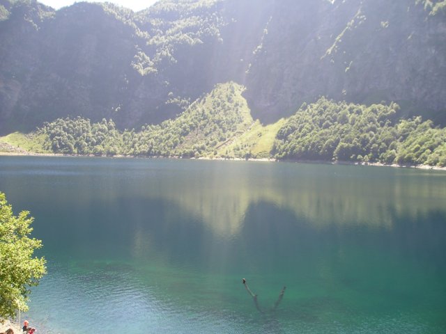 p1010077.jpg