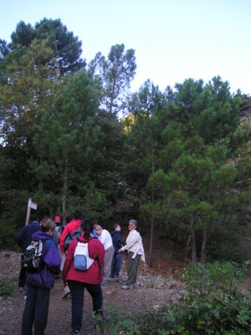p1010006.jpg