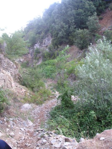 p1010007.jpg