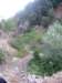 p1010007_small.jpg