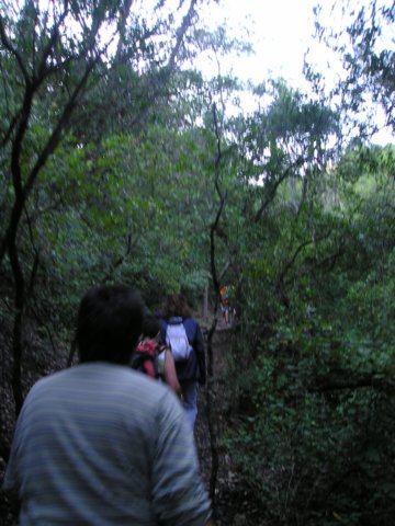 p1010009.jpg