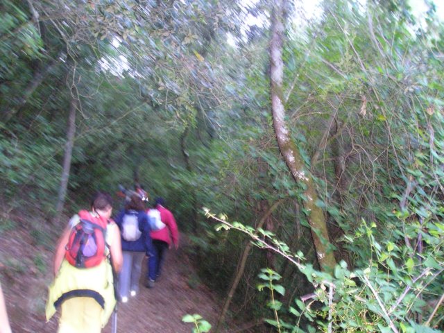 p1010010.jpg